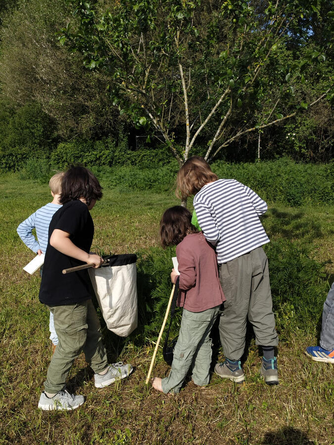Gaan in groep onderzoeken Gaan in groep onderzoeken