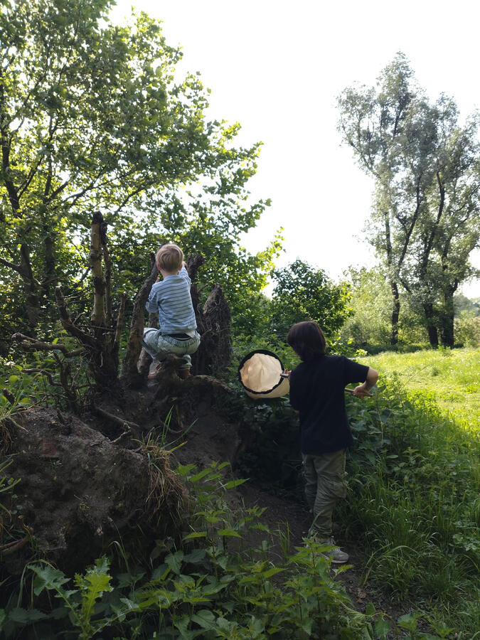 OP zoek naar beestjes in de Bourgoyen OP zoek naar beestjes in de Bourgoyen